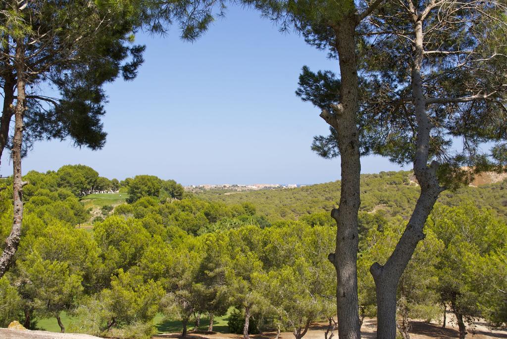 Casa Vromans Alto Torrevieja Rum bild